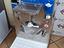 Immagine 14