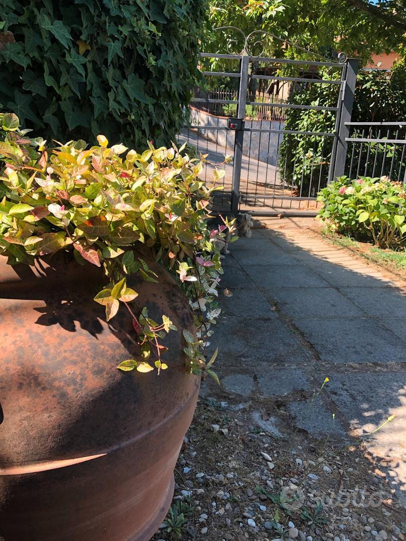 Appartamento – Larciano - Vista 5