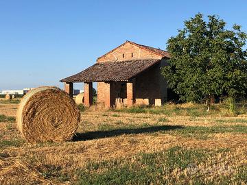 Terreno agricolo con rustico Villamarzana