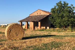 Terreno agricolo con rustico Villamarzana