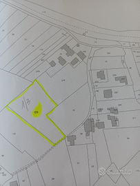 Terreno agricolo pianeggiante con pozzo - Pofi (FR