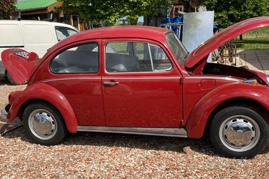 Volkswagen Maggiolino