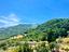 Immagine 11