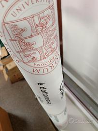 STAMPA PAPIRI BELLUNO 