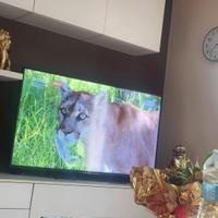 tv 55 pollic come nuova  wifi jutube 