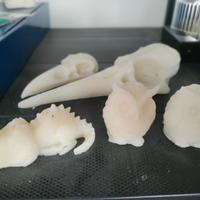 lotto candele fantasy