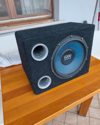 subwoofer esb 6000 doppia bobina.