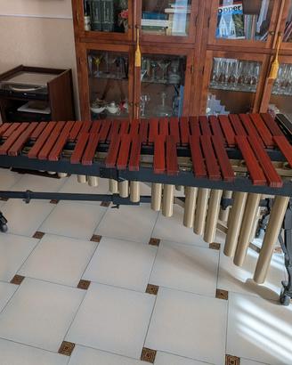 Adams Marimba 4 ottave e 1/3 - Solist 43