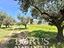 Immagine 21