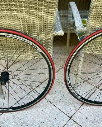 Cerchi Ambrosio da corsa