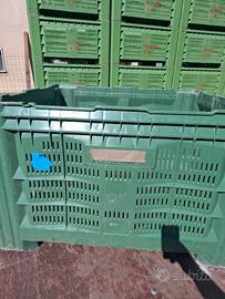 cassoni plastica bins 