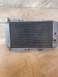 Radiatore Originale Runner 125/180