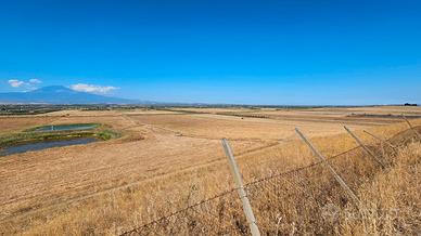 Azienda Agricola 11,5 Ettari - Ramacca, Contrada P