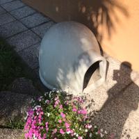 Cuccia per cani da esterno