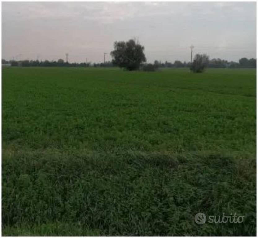 Immobile in asta di 156880 m² a Parma - Vista 5