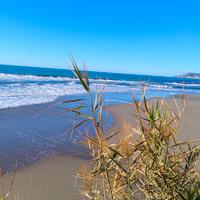 Festival Sanremo appartamento riva ligure