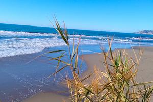 Festival Sanremo appartamento riva ligure