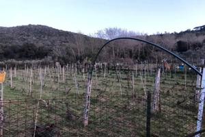 Terreno agricolo/impianti sportivi