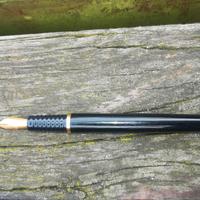 Penna stilografica Diplomat germany