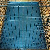 Kennel per cane taglia grande 