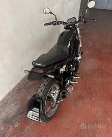 Benelli leoncino 500 trail