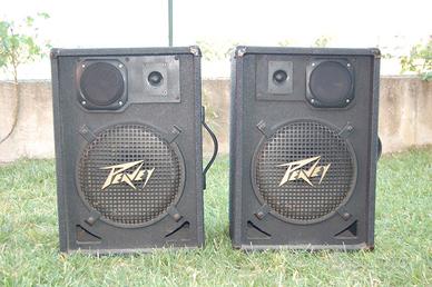 CASSE PEAVEY