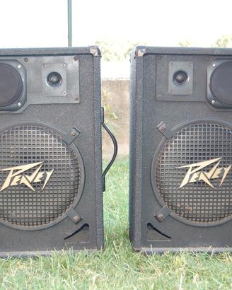 CASSE PEAVEY