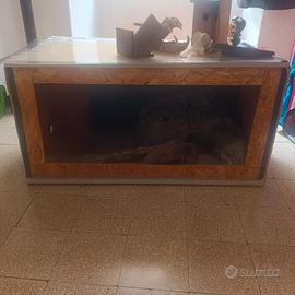 rettilario 