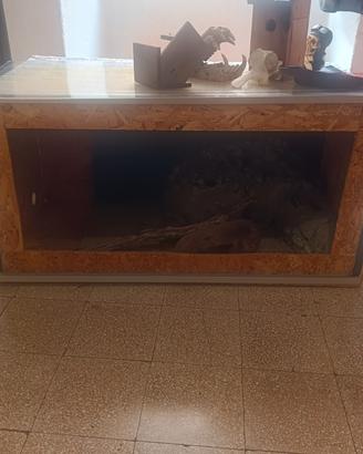 rettilario 