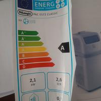 De Longhi Pinguino Compact 8300 btu in garanzia
