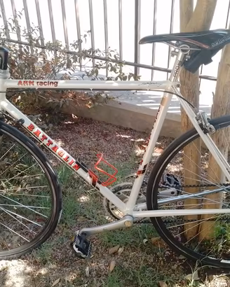 Bicicletta Battaglin Vintage