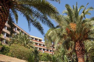 Isola d'elba- multiproprierta'