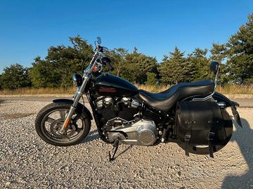 Harley-Davidson Softail Standard - 2024