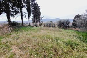 Terreno edificabile residenziale - Monteprandone