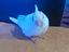 Immagine 1