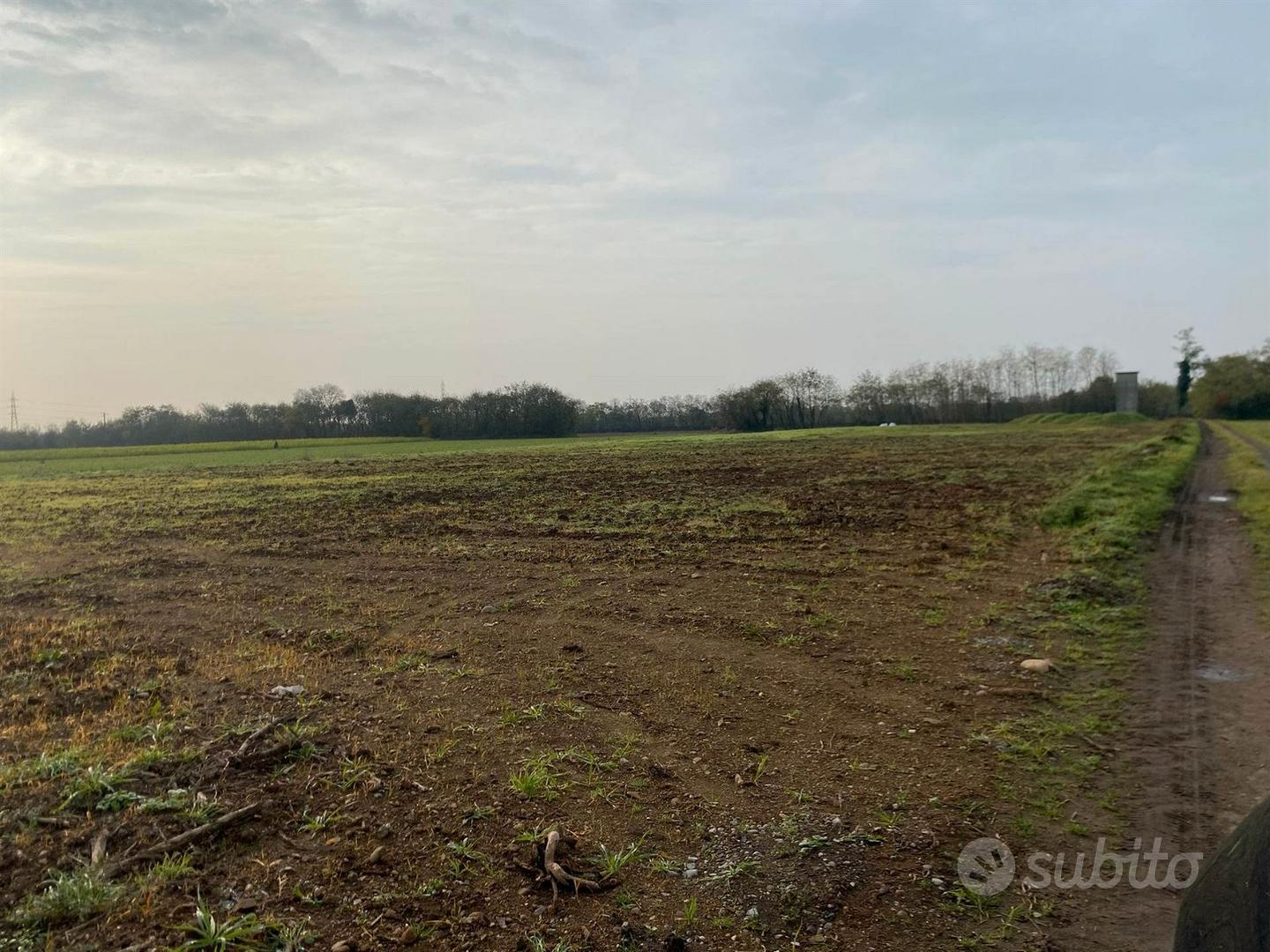 Terreno agricolo ideale per vigneti - Vista 3