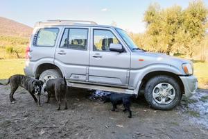 mahindra Goa solo per pezzi di ricambio 