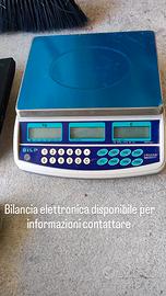 bilancia elettronica 