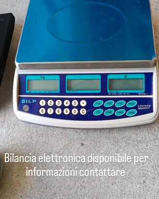 bilancia elettronica 