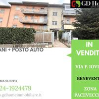 Parco dei Pini