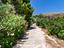 Immagine 26