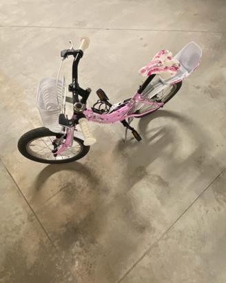 Bicicletta lucchino
