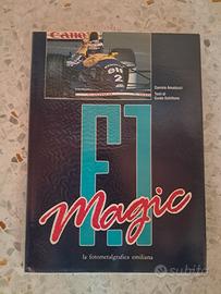 Formula 1 F1 Magic 1993 Alain Prost Williams FW15C