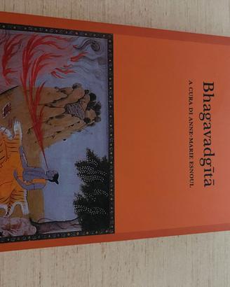 Lotto 3 libri – 36.400 A.C., No Easy Day, Bhagavad