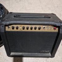 Amplificatore per chitarra e microfono profess