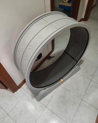 Ruota gatto
