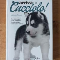 Arriva un cucciolo!