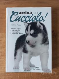 Arriva un cucciolo!