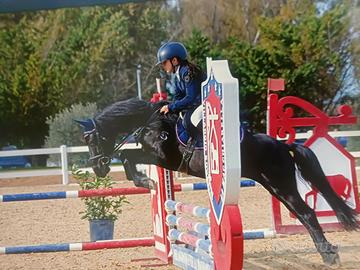 Pony da salto