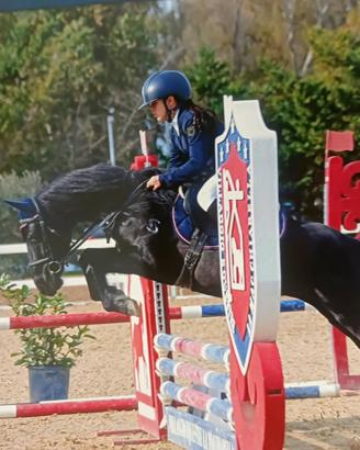 Pony da salto